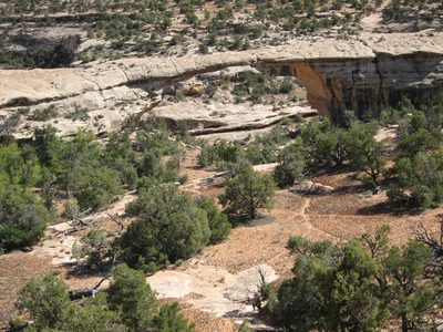 Also at Natural Bridges, showing the path down to the...